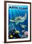 Marco Island - Sea Turtles Swimming-Lantern Press-Framed Art Print