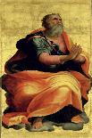Saint Paul the Apostle-Marco Pino-Framed Stretched Canvas