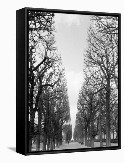 Marco Polo Garden, Boulevard Saint Michel-Walter Bibikow-Framed Stretched Canvas