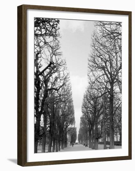 Marco Polo Garden, Boulevard Saint Michel-Walter Bibikow-Framed Premium Photographic Print