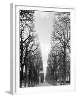 Marco Polo Garden, Boulevard Saint Michel-Walter Bibikow-Framed Premium Photographic Print