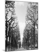 Marco Polo Garden, Boulevard Saint Michel-Walter Bibikow-Mounted Premium Photographic Print