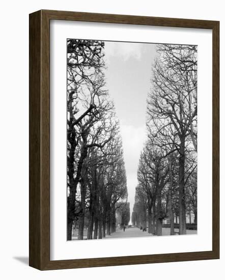 Marco Polo Garden, Boulevard Saint Michel-Walter Bibikow-Framed Photographic Print