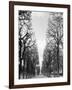 Marco Polo Garden, Boulevard Saint Michel-Walter Bibikow-Framed Photographic Print