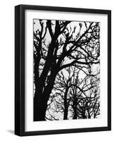 Marco Polo Garden, Boulevard Saint Michel-Walter Bibikow-Framed Photographic Print