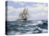 Marco Polo'- "The Fastest Ship in the World", 2003-James Brereton-Stretched Canvas