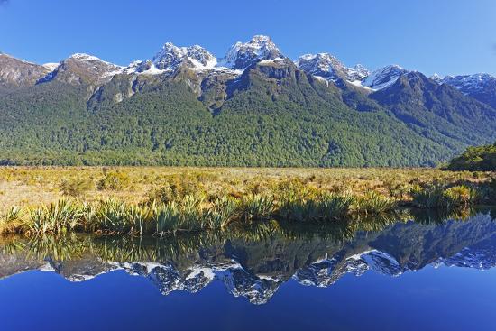 Premium Photographic Print, , large