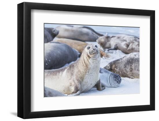Photographic Print, , large