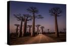 Stretched Canvas