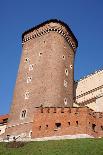 Wawel Cathedral-marco3t-Photographic Print