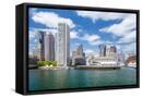 Framed Canvas