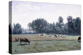 Marcoussis - Cows Grazing, 1845-50-Jean-Baptiste-Camille Corot-Stretched Canvas