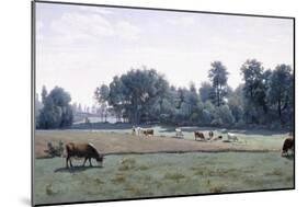 Marcoussis - Cows Grazing, 1845-50-Jean-Baptiste-Camille Corot-Mounted Giclee Print