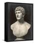 Marcus Antonius (Mark Anthony) Roman Statesman and Triumvir: Portrait Bust-null-Framed Stretched Canvas