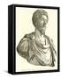 Marcus Aurelius-null-Framed Stretched Canvas