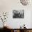 Marcus Garvey-null-Mounted Photographic Print displayed on a wall