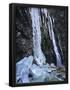 Essential Black