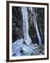 Gramercy Espresso