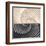 Brown Frame