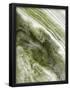 Essential Black