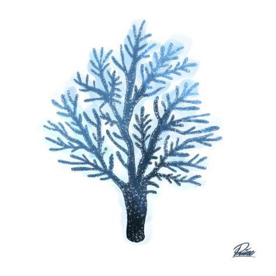 Art Print, , large