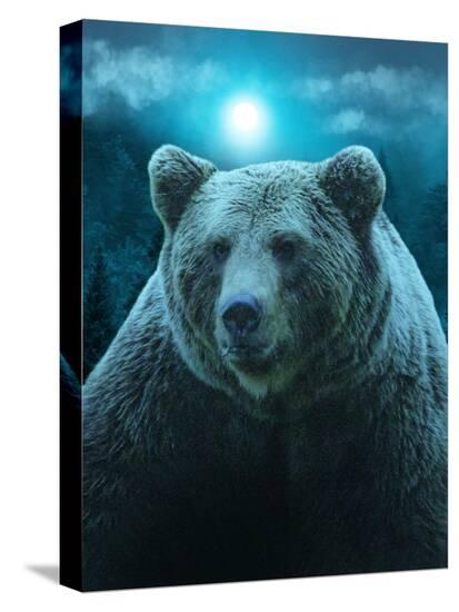 Stretched Canvas Print, , large