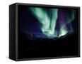 Canvas Black