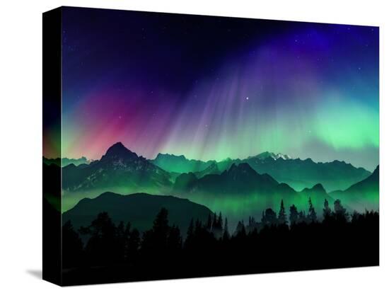 Stretched Canvas Print, , large