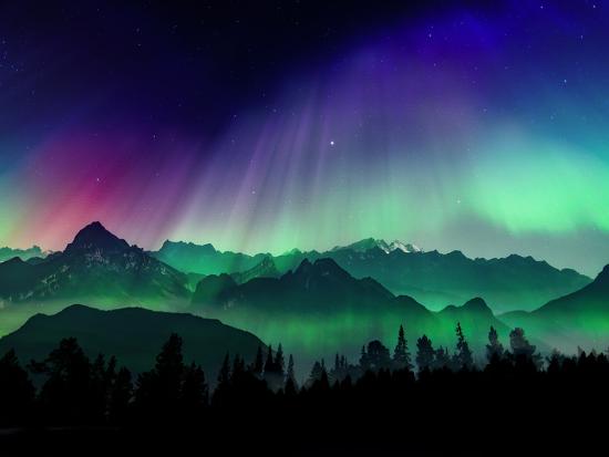 Premium Photographic Print, , large