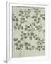 Gramercy White