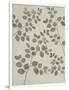 Gramercy White
