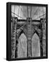 Essential Black