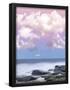 Essential Black