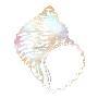 Laminate