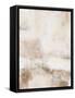 Framed Canvas