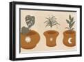 Black Frame