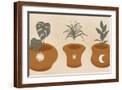 Brown Frame