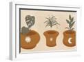 White Frame