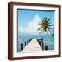 Brown Frame