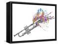 Framed Canvas