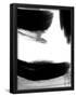Essential Black