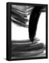 Essential Black