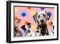 Black Frame