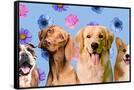 Canvas Black