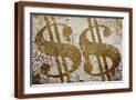 Brown Frame