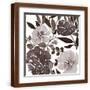 Brown Frame