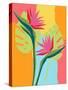 Stretched Canvas
