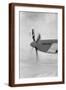 Brown Frame