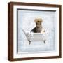Brown Frame