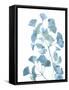 Framed Canvas
